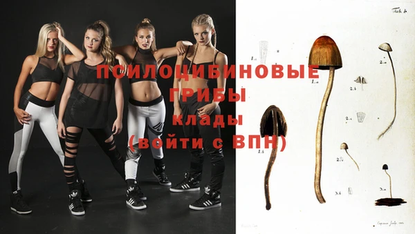 трава Бронницы