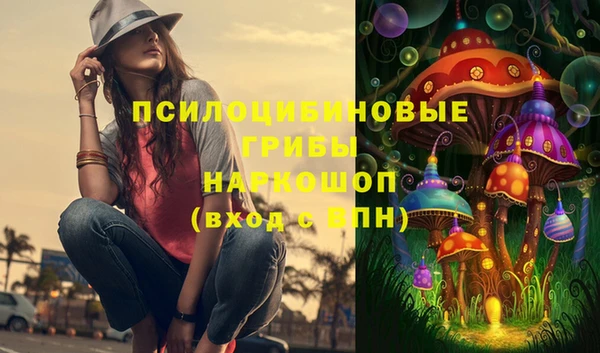 соль ск Бородино