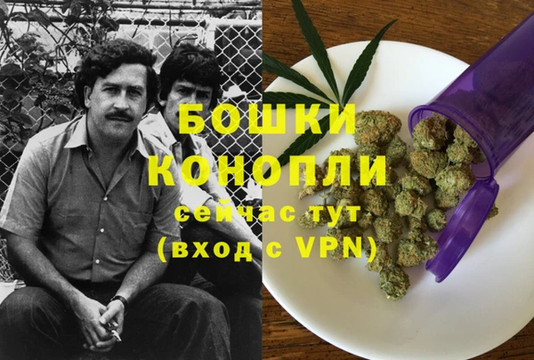 Альфа ПВП Бугульма