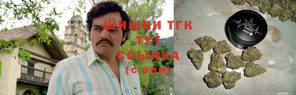 соль ск Бородино