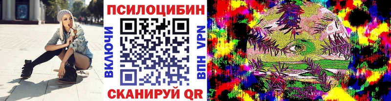 хочу   Тотьма  OMG как войти  Галлюциногенные грибы Cubensis 